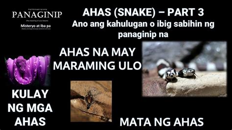 Panaginip na Ahas: Ano kahulugan, simbolo .